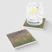 野生のケシ ストーンコースター (横)