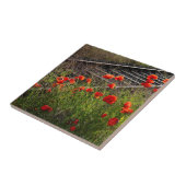 野生のケシ タイル (側面)