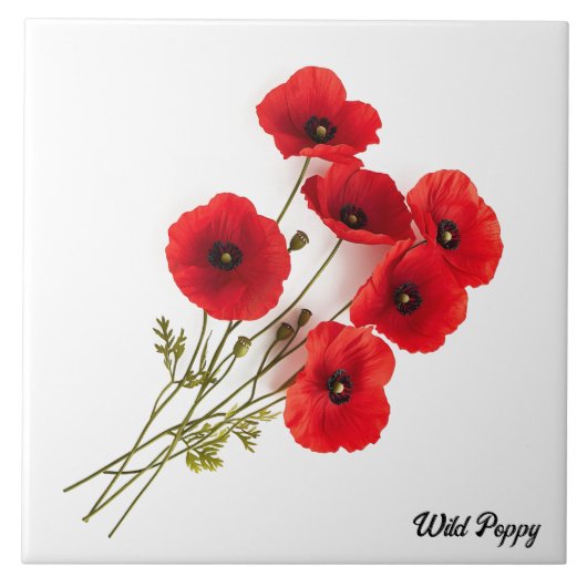 野生のケシ タイル (正面)