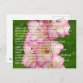 野生のケシ ポストカード (正面/裏面)