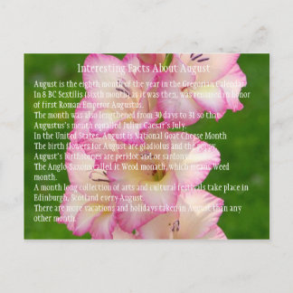 野生のケシ ポストカード