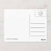 野生のケニアキリン ポストカード (裏面)