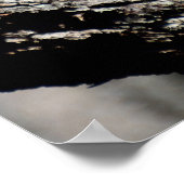 野生のコウノトリ ポスター (角)