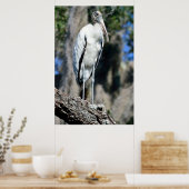 野生のコウノトリ ポスター (キッチン)