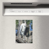 野生のコウノトリ マグネット (インサイチュ (食洗機))