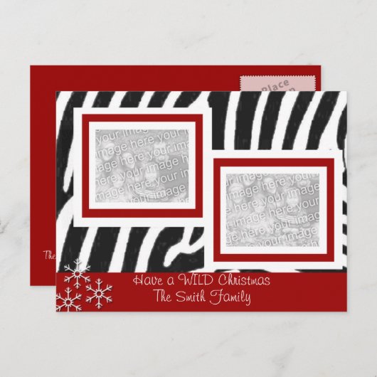 野生のシマウマのクリスマス シーズンポストカード (正面/裏面)