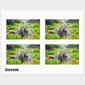 野生のシマウマ 長方形シール (シート)