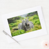 野生のシマウマ 長方形シール (封筒)