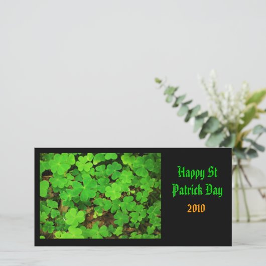 野生のシャムロック (スタンド正面)