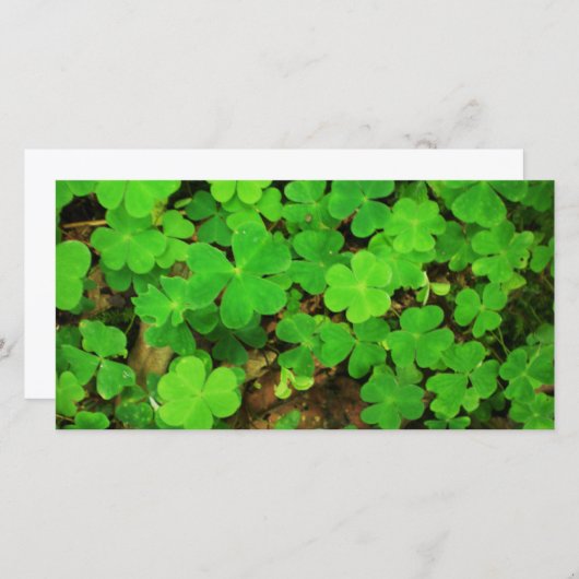 野生のシャムロック (正面/裏面)