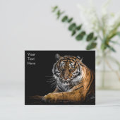 野生のジャングルアニマルタイガー (スタンド正面)