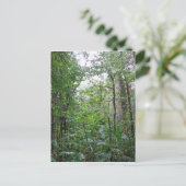 野生のジャングル ポストカード (スタンド正面)