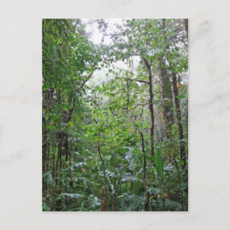 野生のジャングル ポストカード
