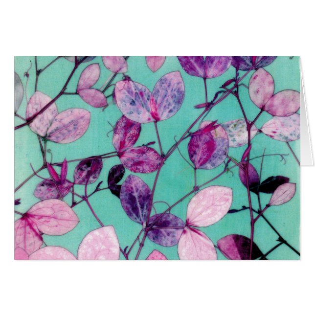 野生のスイートピーの葉 (正面横)