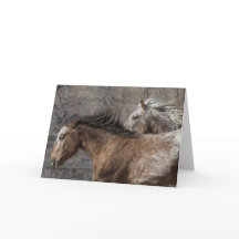 野生のタヌキ：Galloping to Freedomグリーティングカード