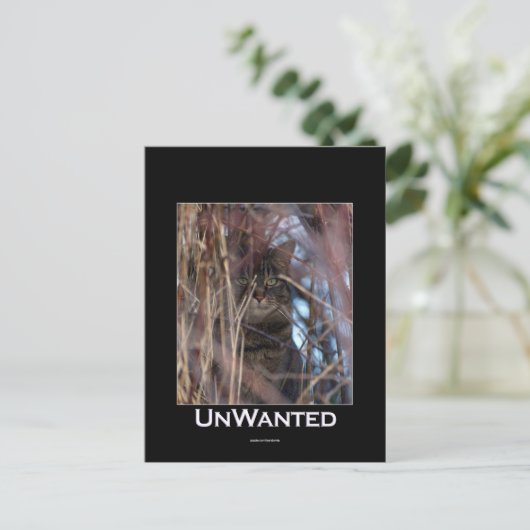 野生のタビー猫の人口動態の動物のはがき ポストカード (スタンド正面)