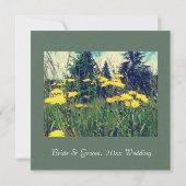 野生のタンポポの花春の結婚式 招待状 (裏面)