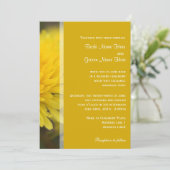 野生のタンポポの花春、夏結婚、's 招待状 (スタンド正面)
