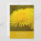 野生のタンポポの花春、夏結婚、's 招待状 (裏面)