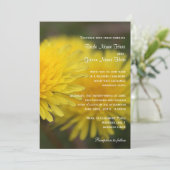 野生のタンポポの花春、夏結婚、's 招待状 (スタンド正面)