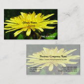 野生のタンポポの花 名刺 (正面/裏面)