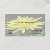 野生のタンポポの花 名刺 (裏面)