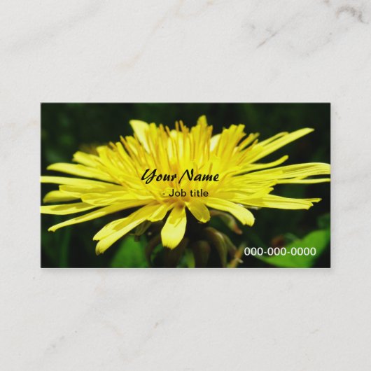 野生のタンポポの花 名刺 (正面)