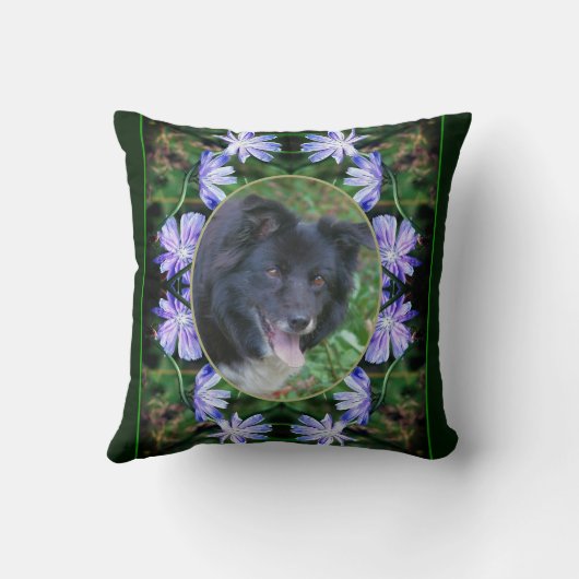 野生のチコリーの花のフレーム独自の写真を作成 クッション (裏面)