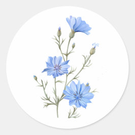 野生のチコリー花植物水彩画 ラウンドシール