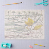 野生のチューリップの野生の花によってはティッシュペーパーが開花します 薄葉紙 (クラフト)