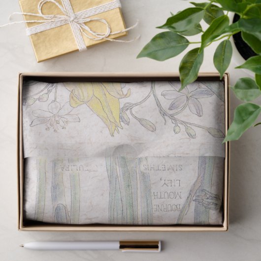 野生のチューリップの野生の花によってはティッシュペーパーが開花します 薄葉紙 (ギフト)