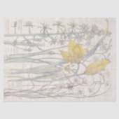 野生のチューリップの野生の花によってはティッシュペーパーが開花します 薄葉紙 (正面)