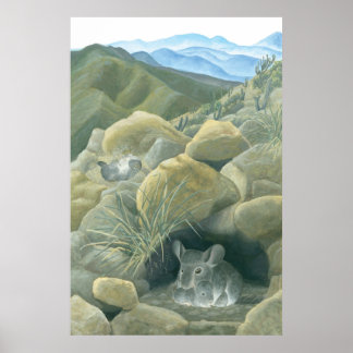 野生のチンチラ ポスター