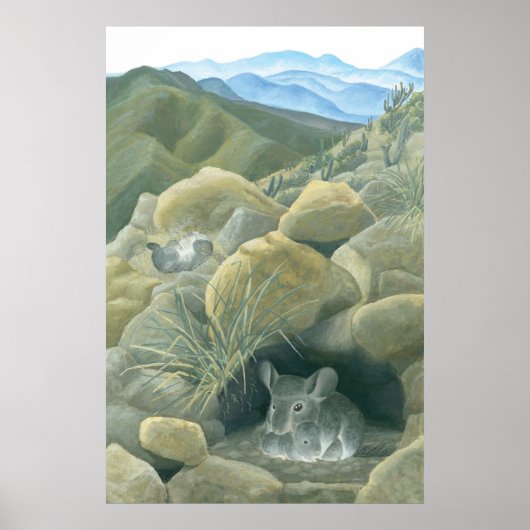 野生のチンチラ ポスター (正面)