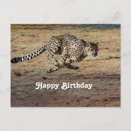 野生のチーターの走る写真 誕生日 ポストカード