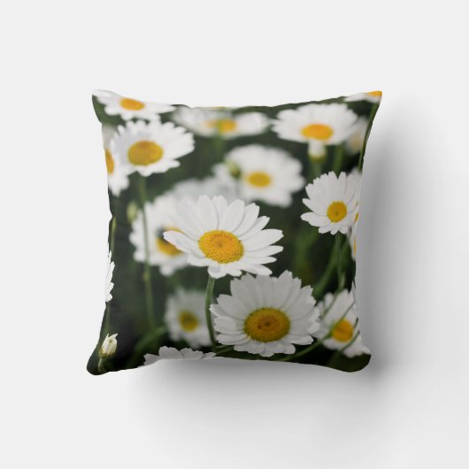 野生のデイジーの花は閉まります クッション (裏面)
