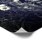 野生のデイジーの花白黒 ポスター (角)