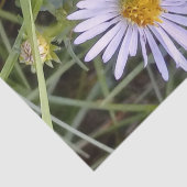 野生のデイジー花 薄葉紙 (詳細)