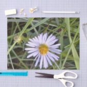 野生のデイジー花 薄葉紙 (クラフト)