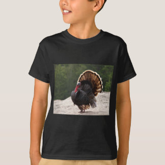野生のトムトルコ Tシャツ