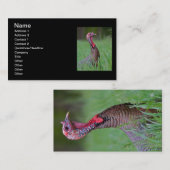 野生のトム 名刺 (正面/裏面)