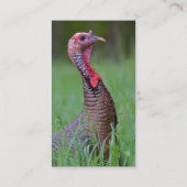 野生のトム 名刺 (裏面)