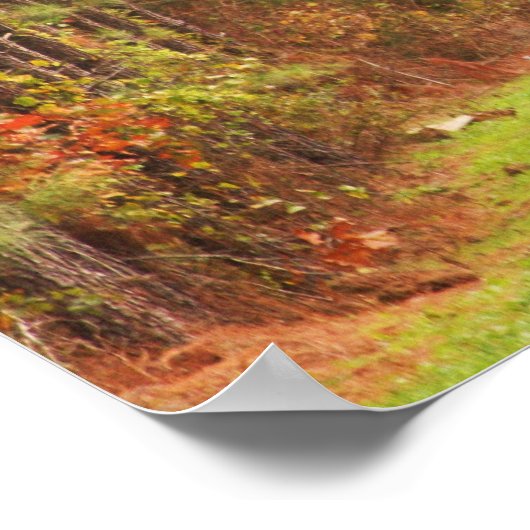 野生のトルコの飛行中 ポスター (角)