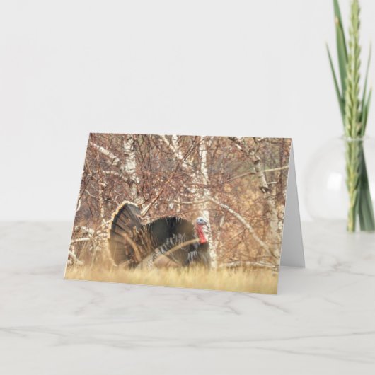 野生のトルコトムのメッセージカード カード (正面)