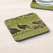 野生のトルコ、カモフラージカラー コースター (左側)