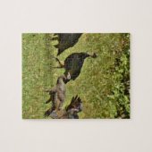 野生のトルコ、カモフラージカラー ジグソーパズル (横)