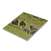 野生のトルコ、カモフラージカラー タイル (側面)