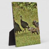 野生のトルコ、カモフラージカラー フォトプラーク (側面)