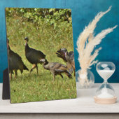 野生のトルコ、カモフラージカラー フォトプラーク (側面)