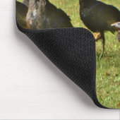 野生のトルコ、カモフラージカラー マウスパッド (コーナー)